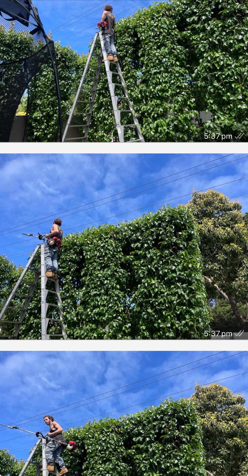 As Green As Melbourne